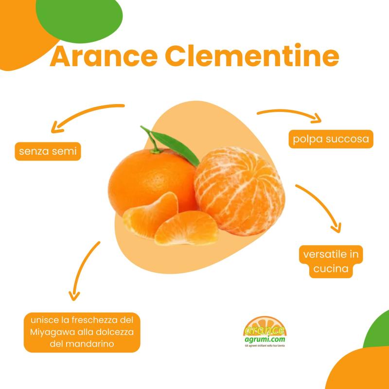 Acquista le arance Clementine online, freschissime e gustose