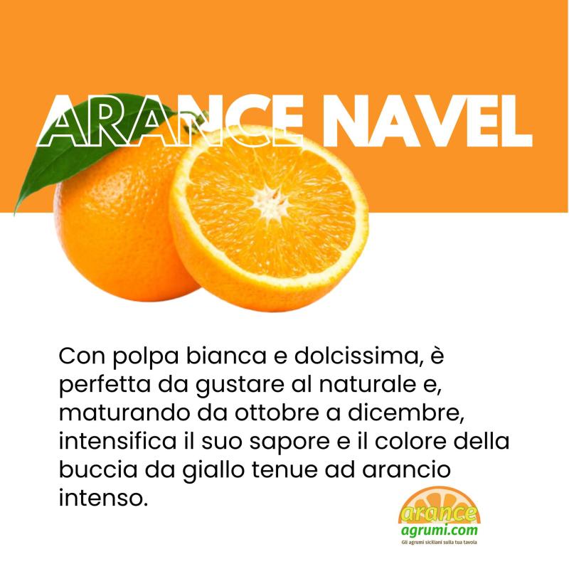 Acquista le arance Navel online buonissime e dolcissime